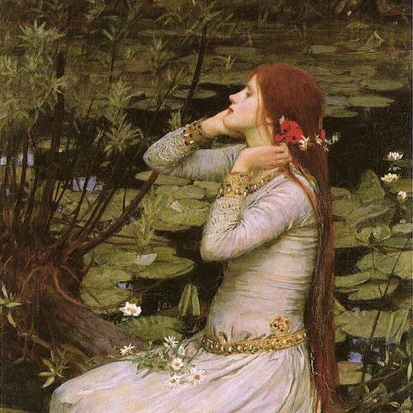 Meet your Posher, Elle - Picture 1 of 1